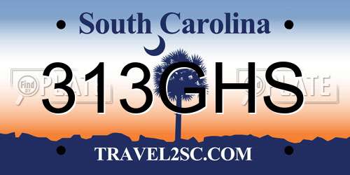 313GHS South Carolina License Plate