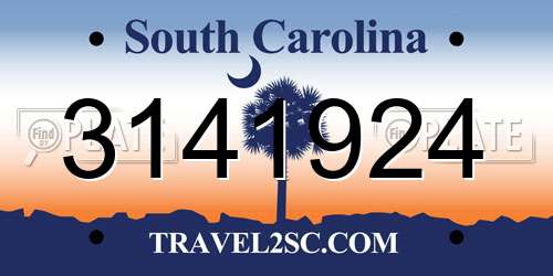 3141924 South Carolina License Plate