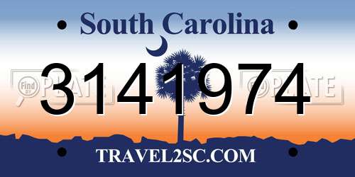 3141974 South Carolina License Plate