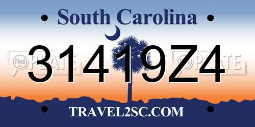 31419Z4 South Carolina License Plate