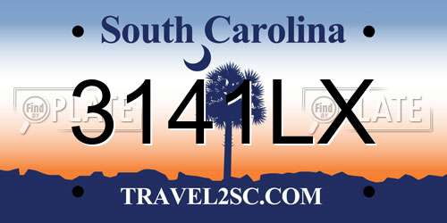 3141LX South Carolina License Plate