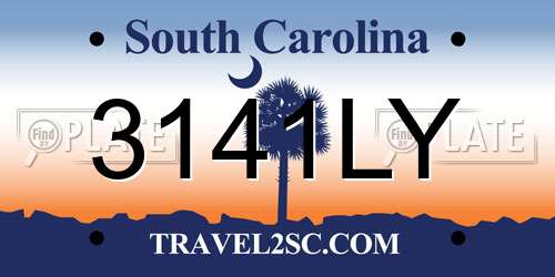 3141LY South Carolina License Plate
