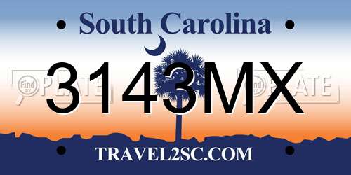 3143MX South Carolina License Plate