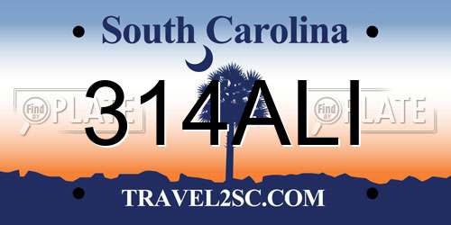 314ALI South Carolina License Plate