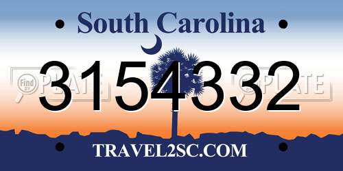 3154332 South Carolina License Plate