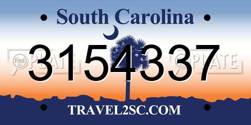 3154337 South Carolina License Plate