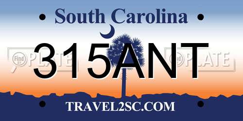 315ANT South Carolina License Plate
