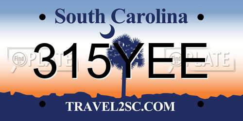 315YEE South Carolina License Plate
