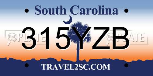 315YZB South Carolina License Plate