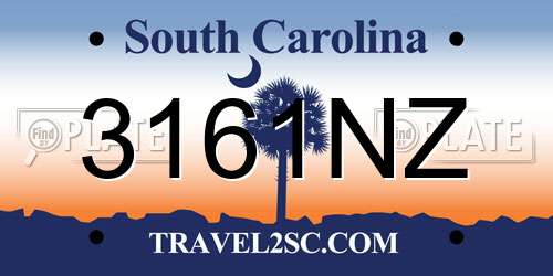 3161NZ South Carolina License Plate