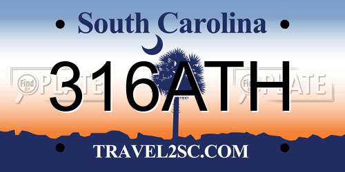 316ATH South Carolina License Plate