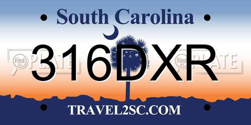 316DXR South Carolina License Plate