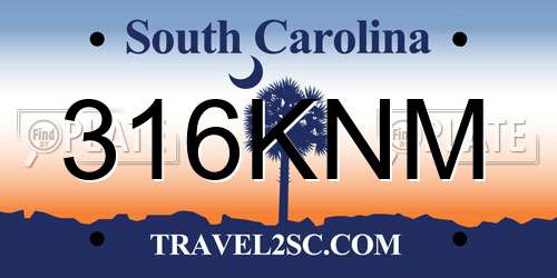 316KNM South Carolina License Plate