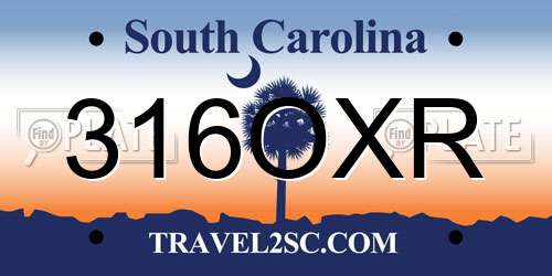 316OXR South Carolina License Plate