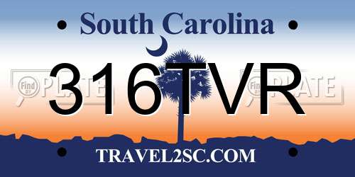 316TVR South Carolina License Plate