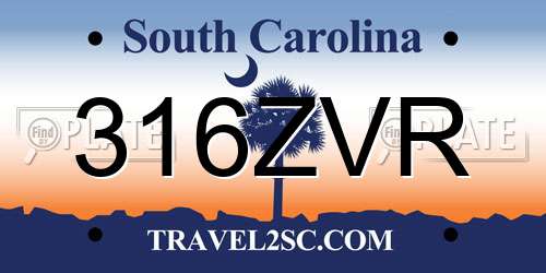 316ZVR South Carolina License Plate