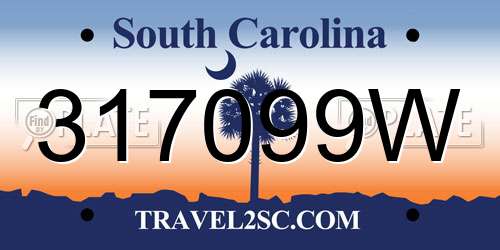 317099W South Carolina License Plate