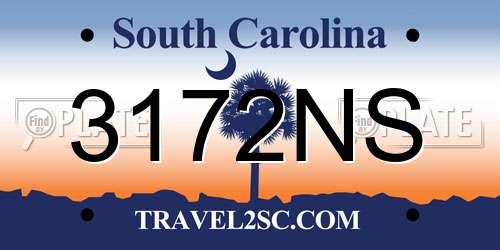 3172NS South Carolina License Plate