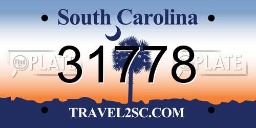 31778 South Carolina License Plate