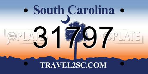 31797 South Carolina License Plate