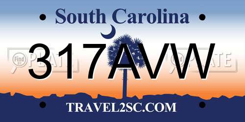 317AVW South Carolina License Plate