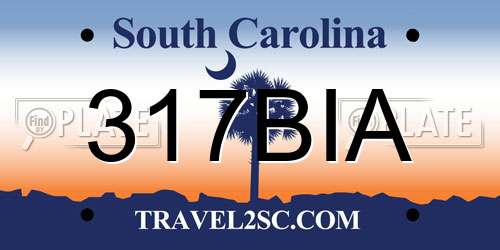 317BIA South Carolina License Plate