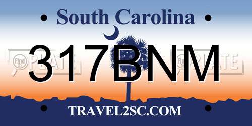317BNM South Carolina License Plate
