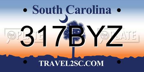 317BYZ South Carolina License Plate
