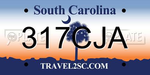 317CJA South Carolina License Plate