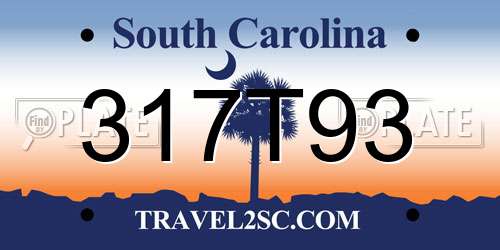 317T93 South Carolina License Plate