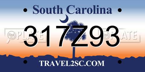 317Z93 South Carolina License Plate