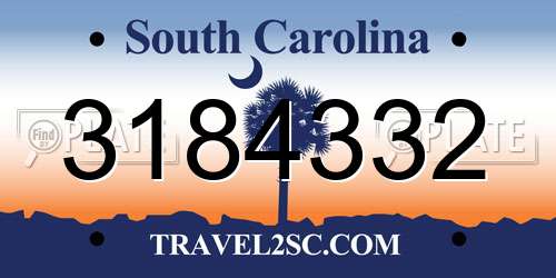 3184332 South Carolina License Plate