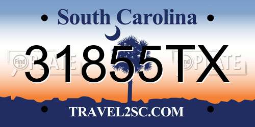 31855TX South Carolina License Plate