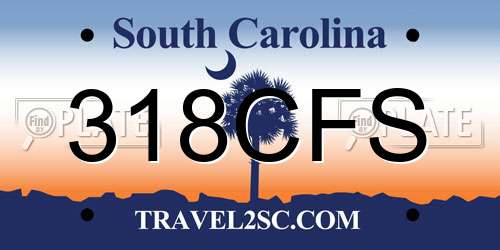 318CFS South Carolina License Plate