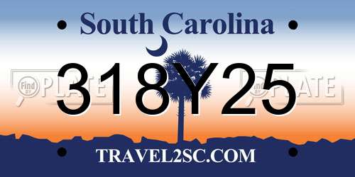 318Y25 South Carolina License Plate
