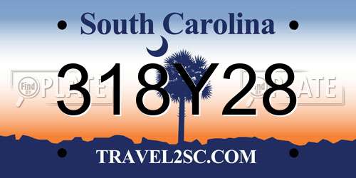 318Y28 South Carolina License Plate