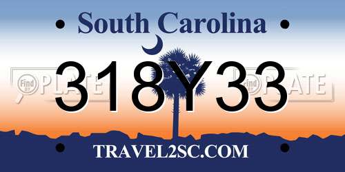 318Y33 South Carolina License Plate