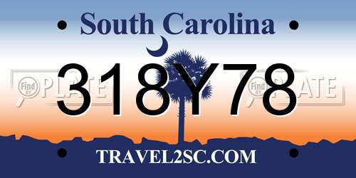 318Y78 South Carolina License Plate