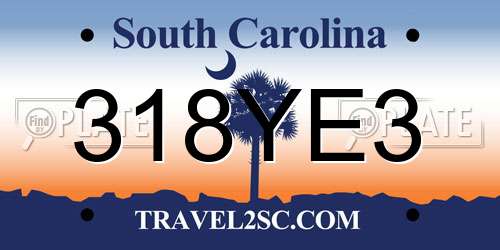 318YE3 South Carolina License Plate