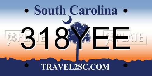 318YEE South Carolina License Plate