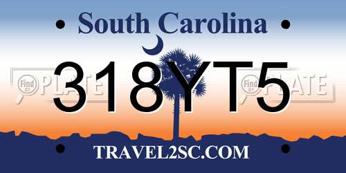 318YT5 South Carolina License Plate