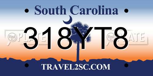 318YT8 South Carolina License Plate