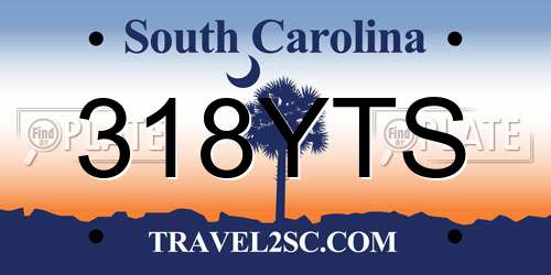 318YTS South Carolina License Plate