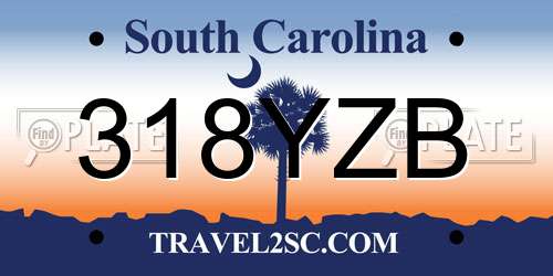 318YZB South Carolina License Plate