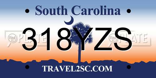 318YZS South Carolina License Plate