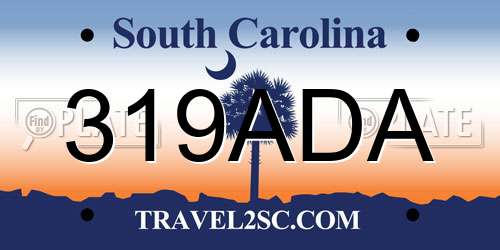 319ADA South Carolina License Plate