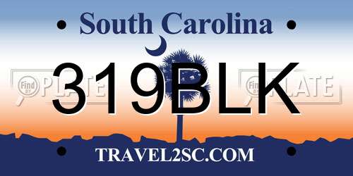 319BLK South Carolina License Plate