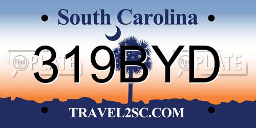 319BYD South Carolina License Plate