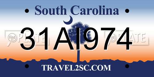 31AI974 South Carolina License Plate