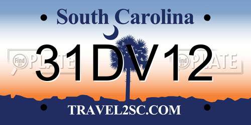 31DV12 South Carolina License Plate